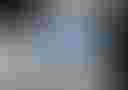 Loading image...