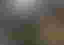 Loading image...