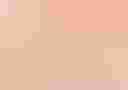 Loading image...