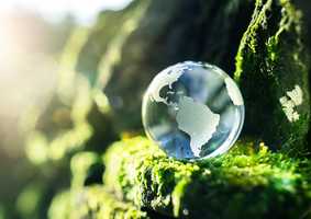 image of globe on grass