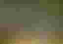 Loading image...