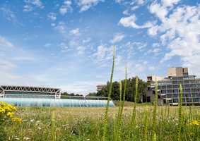 Improving access to Psychological Therapies and Cognitive Behavioural Therapies Resources