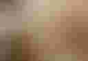 Loading image...