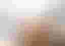 Loading image...