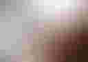 Loading image...