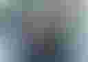 Loading image...