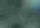 Loading image...