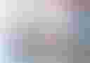Loading image...