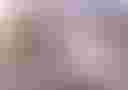 Loading image...
