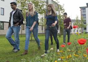 Prospective students_students walking across the grass_cta.jpg