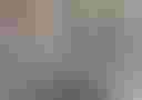 Loading image...