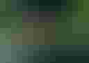 Loading image...