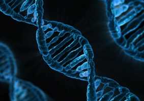 dna image