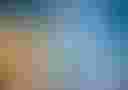 Loading image...