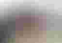 Loading image...