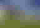 Loading image...