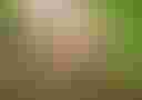 Loading image...
