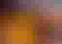 Loading image...