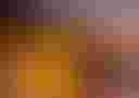Loading image...
