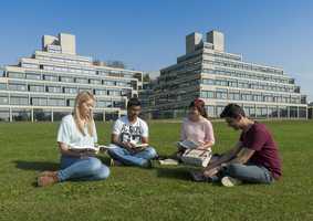Undergraduate students studying in front of the Ziggurats