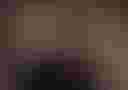 Loading image...