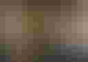 Loading image...
