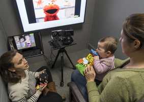 psychology experiment with child