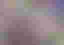 Loading image...