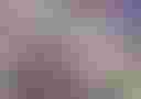 Loading image...