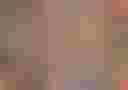 Loading image...