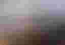 Loading image...