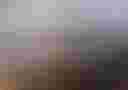 Loading image...