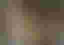 Loading image...