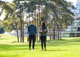 students walking and talking by trees