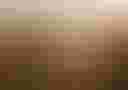 Loading cracked desert landscape...