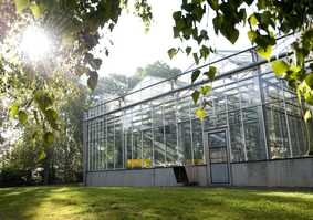 Greenhouse in the sunlight