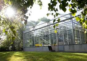 Greenhouse in the sunlight