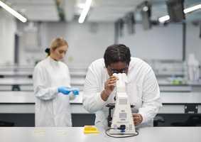 Our Research