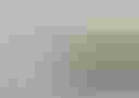 Loading image...