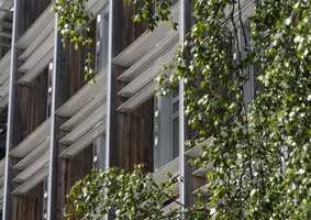 Building on UEA campus