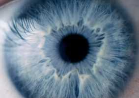 Picture of eye