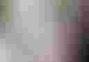 Loading image...