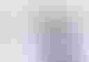 Loading image...