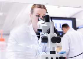 Science Graduate School