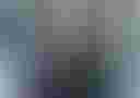 Loading image...