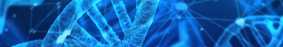DNA strands