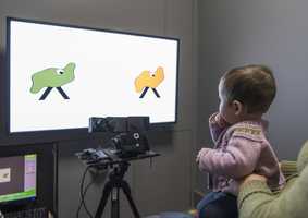 child in psychology lab being held and looking at a screen