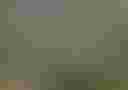 Loading image...