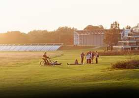 Students on campus