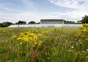 sainsbury centre